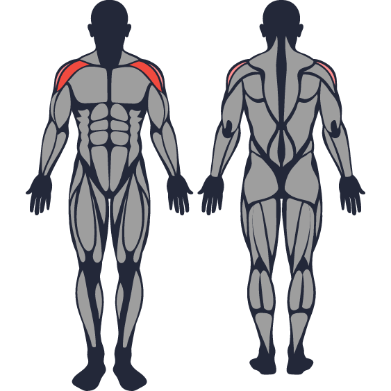 How To Do Plate Front Raise Muscles Worked Proper Form Strengthlog